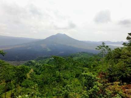 ubud (42)